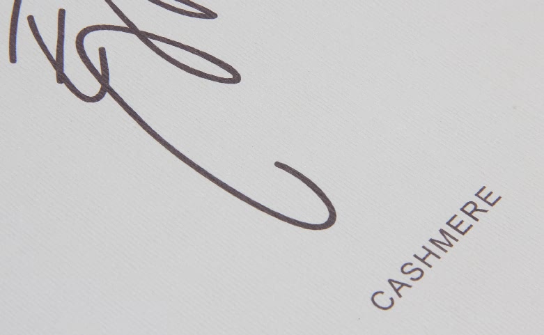 Cashmere Scarf Envelop Shopping Bags Logo