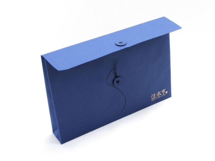 Century Brand Scarves Envelope Shopping Bags Back Detail