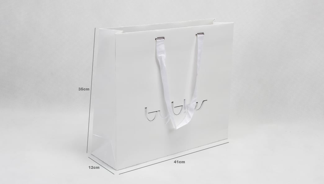 Glossy Laminated Garment Paper Bag Size