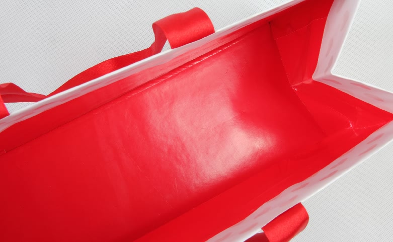 Heels Shoe Shopping Bag Inside Red Printed