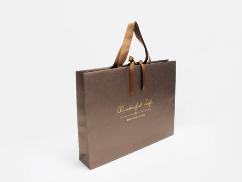 Luxury Mall Shopping Paper Bag