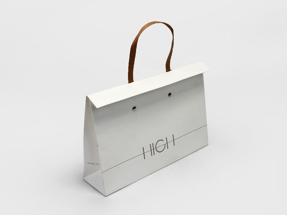 Luxury Shopping Bag 