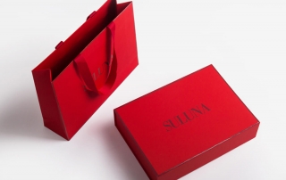 Luxury Underwear Soft Touch Paper Packaging Box and Bag