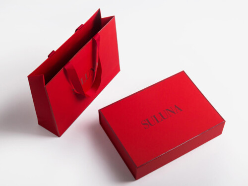 Luxury Underwear Soft Touch Paper Packaging Box and Bag