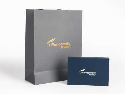 Encrypted USB Key Packaging Box & Paper Bag