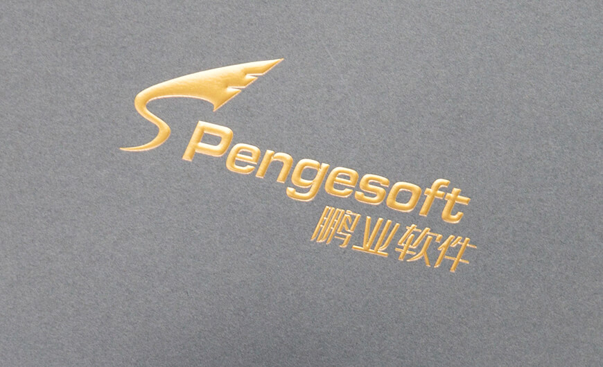 Encrypted USB Key Paper Bag Hot Stamping LOGO