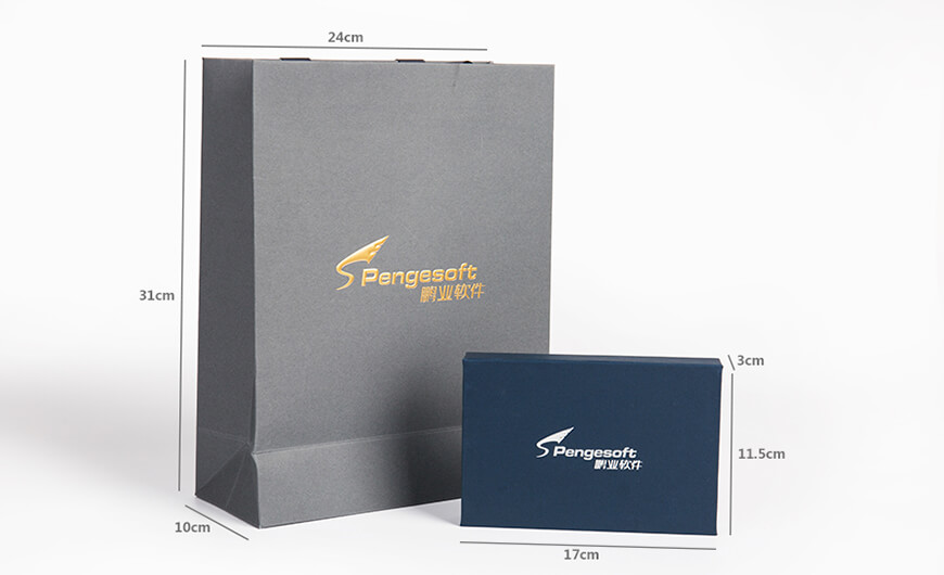 Encrypted USB Key Box & Paper Bag Size