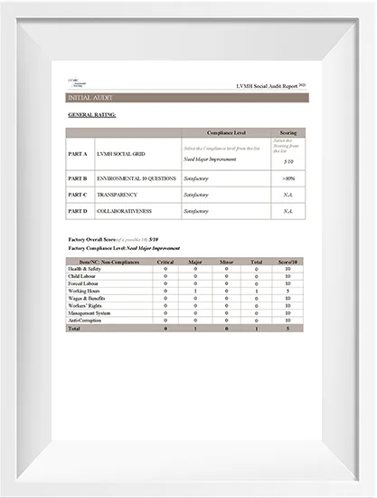 Informe de Auditoría Social