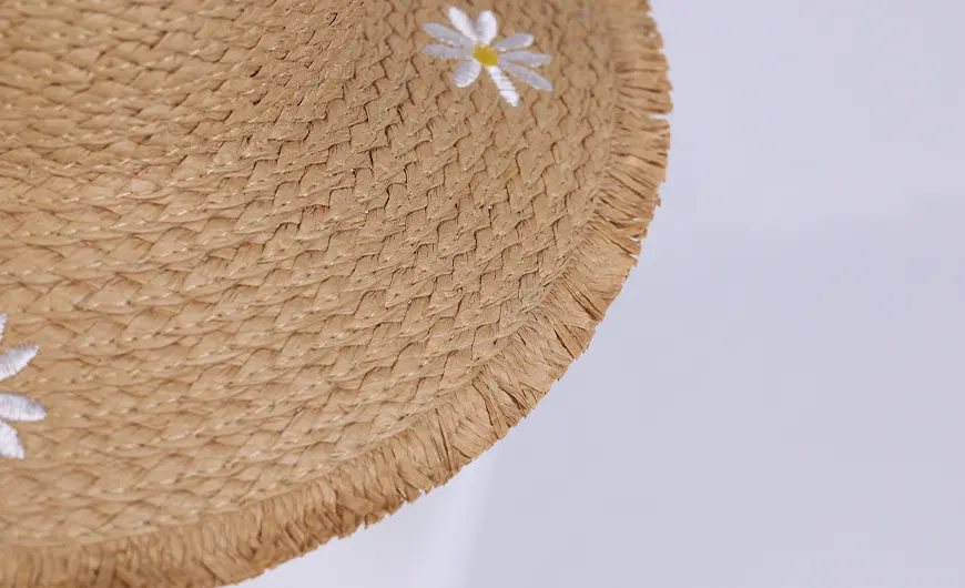 Fashion Paper Straw Hat with a Wide Brim