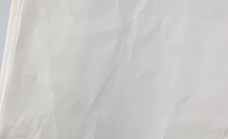White Washable Kraft Paper Shopping Bags Wrinkles Detail